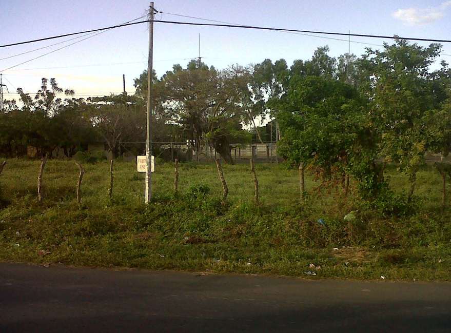 Granada por laboratorios Ceguel